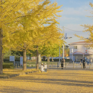 吃Sm女王屎的视频∨k
